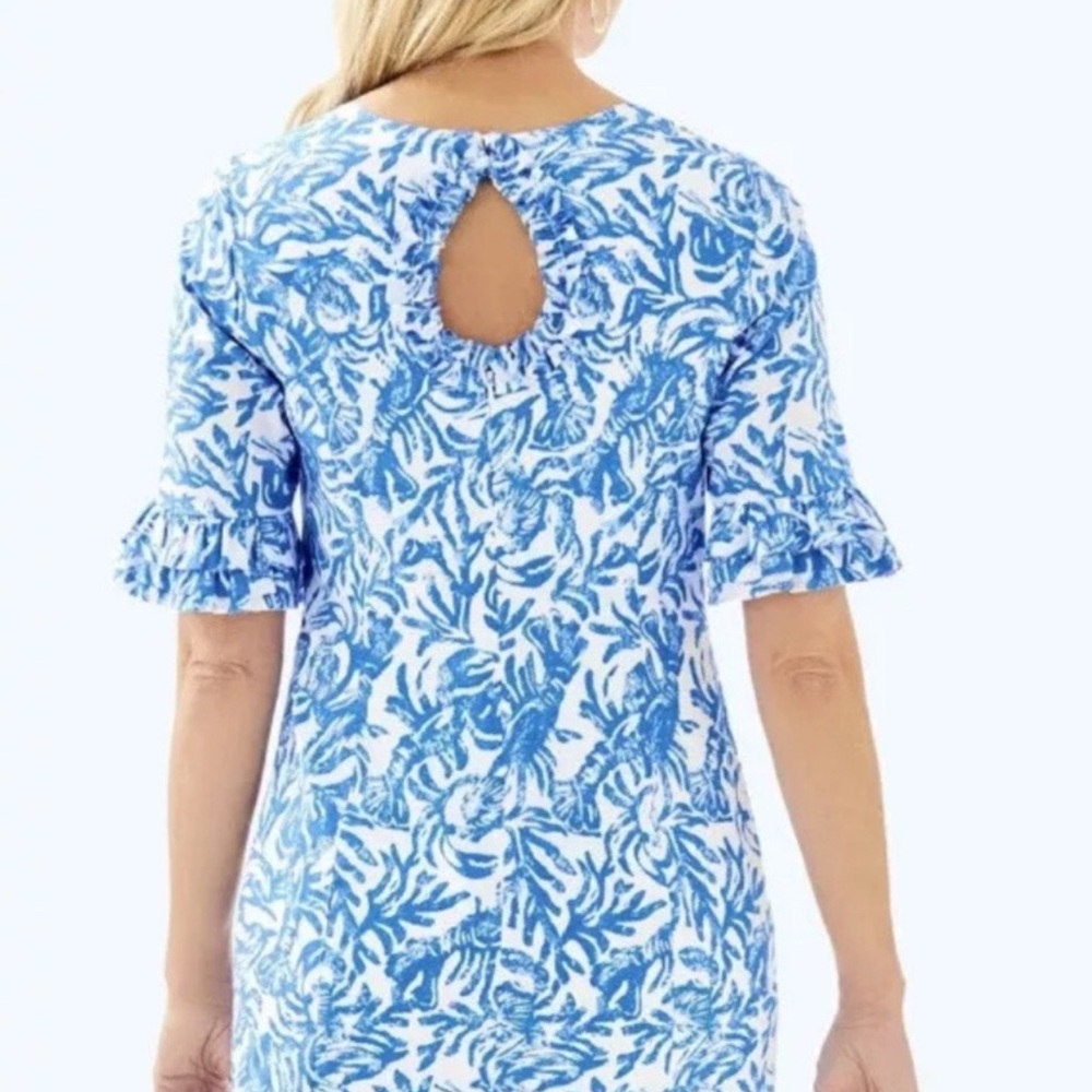Lilly Pulitzer Blue Fiesta Stretch Dress - Picture 6 of 11